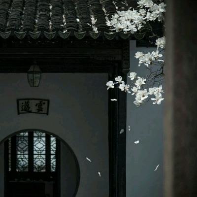 越秀资本3月26日在互动平台表示,公司绿电业务目前没有开展绿电直连类型项目。